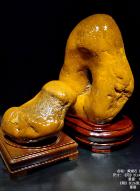 黄蜡石天然造型石水冲石原石摆件奇石观赏石客厅办公招财纳福石头