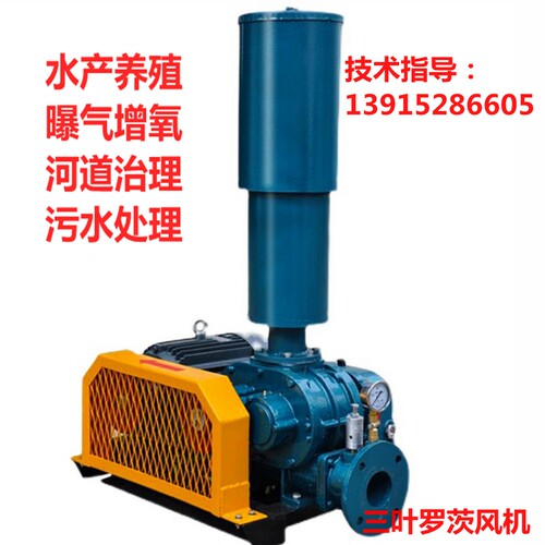 三叶罗茨鼓风机鱼塘增氧高压大功率曝气风机工业气力输送污水处理 - 图0