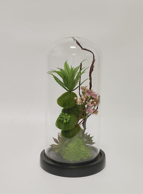 冠群家居永生苔藓装饰摆件