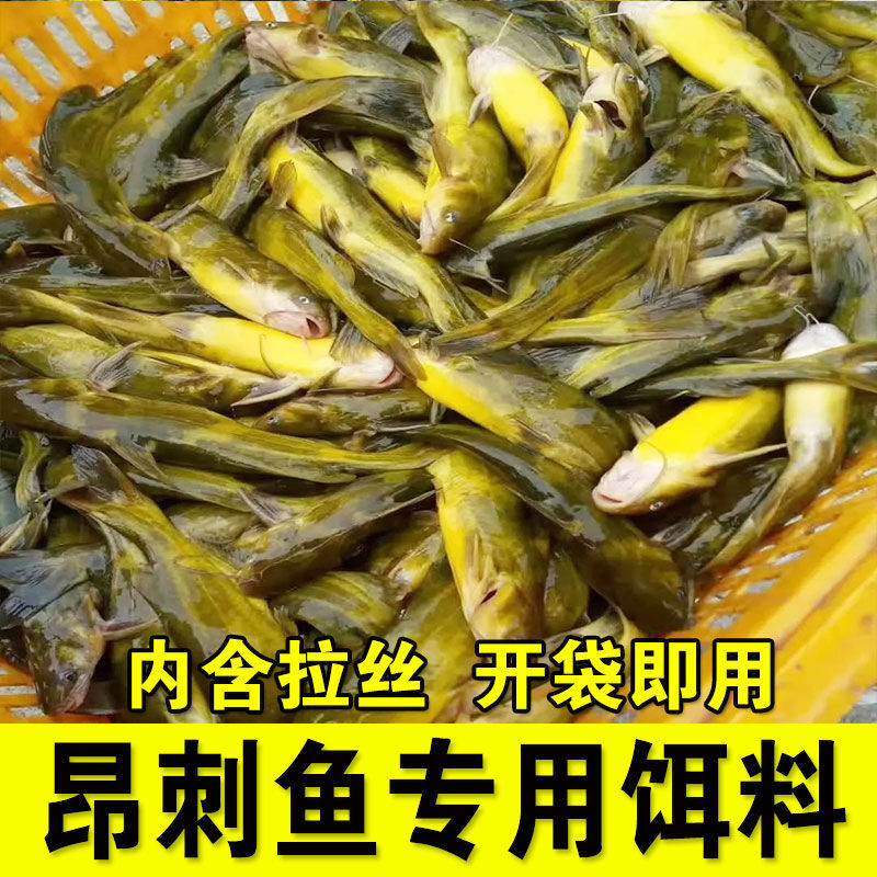 野钓黄辣丁饵料专攻黄颡诱饵黄骨鱼昂刺鱼嘎鱼鲶鱼浓腥鱼料打窝料 - 图1