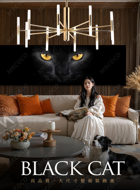 黑猫装饰画大尺寸沙发背景墙挂画