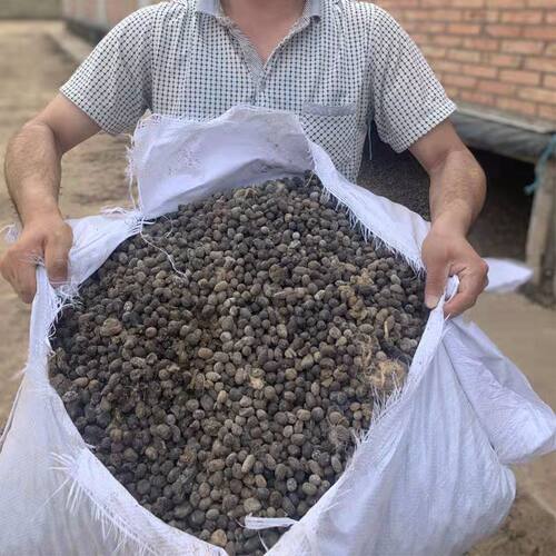 发酵纯羊粪颗粒腐熟纯羊粪蛋有机肥通用型肥料营养土兰花专用花土 - 图0