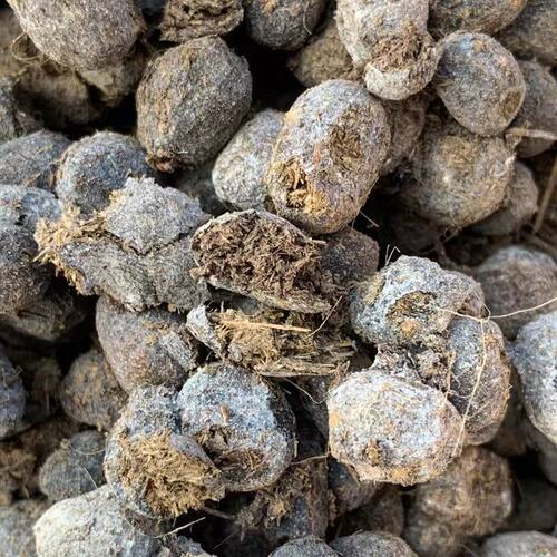 发酵纯羊粪颗粒腐熟纯羊粪蛋有机肥通用型肥料营养土兰花专用花土 - 图1