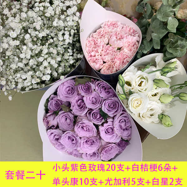 紫桔梗花 新人首單立減十元 22年11月 淘寶海外