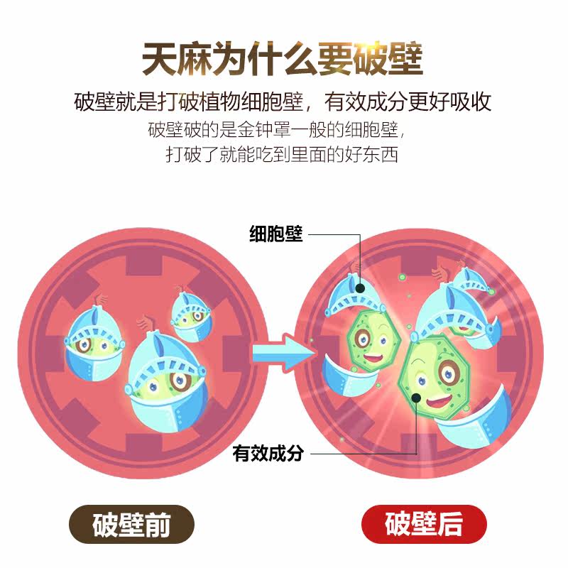 中山中智草晶华破壁草本产地水天麻 桐君阁大药房天麻