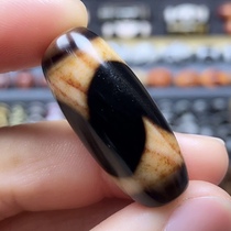 A full Zhu sand tiger with a tiger tooth bead.