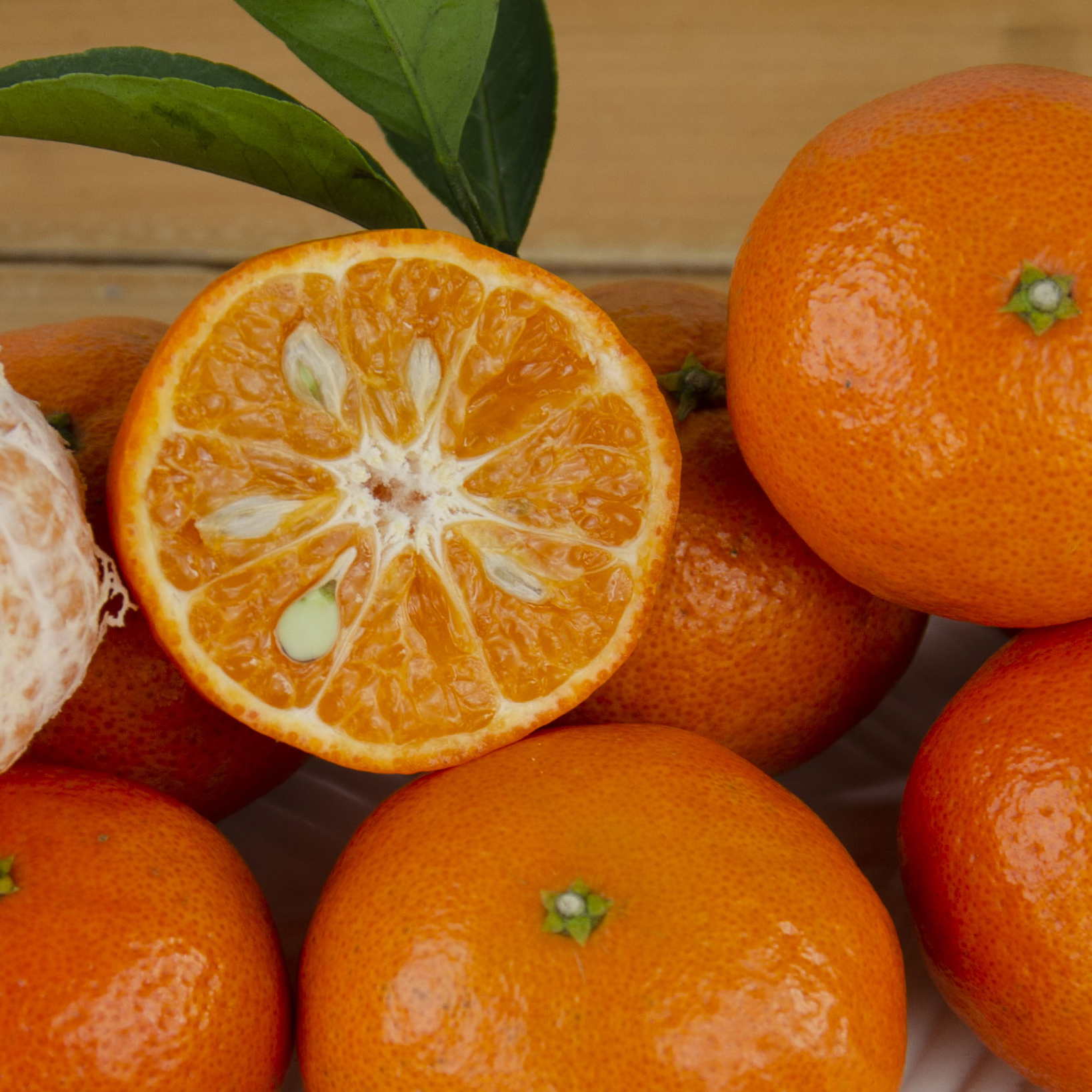 花彩橘子树果苗盆栽果树苗桔柚子春见耙耙柑树苗阳台庭院好养好吃 - 图0