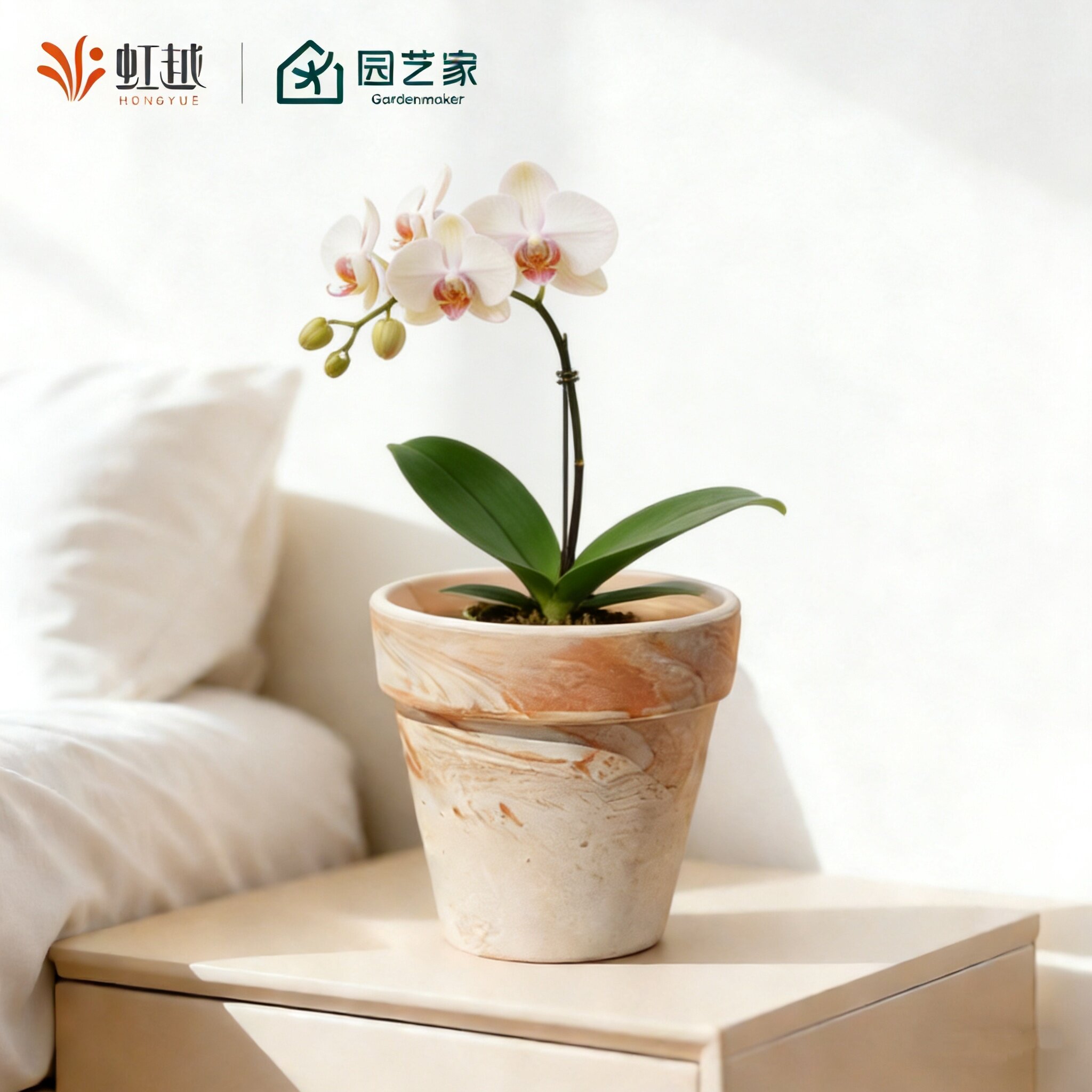 ��Խ ���� �������� ��� 10�ھ� 1�� 7.98Ԫ+147�Խ��