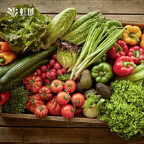 Iridescent Fruit Vegetable Cave Pan Fry Fruit Vegetable Winter Balcony Planted Watermelon Pepper Tomato Eggplant Sweet Melon Cucumber