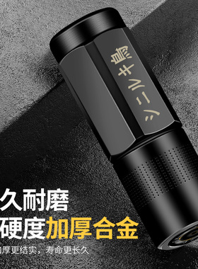黄油枪嘴头黄油嘴平咀进口防爆打黄油软管硬管弯管黄油枪配件大全