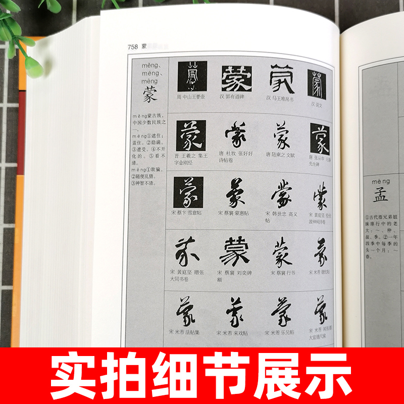 书法大字典 商务印书馆 甲骨文 金文 大篆 小篆 隶书 草书 楷书 行书等10大类汉字书法大全 中国毛笔软笔字硬笔书法字帖2023 - 图3