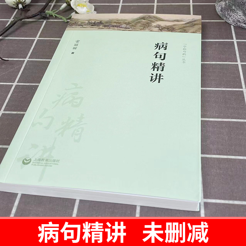 病句精讲 常丽丽 中考高考病句真题 现代汉语语法知识 语法相关知识点 语言文字书籍现代汉语语法知识体系 语法知识上海教育出版社 - 图0