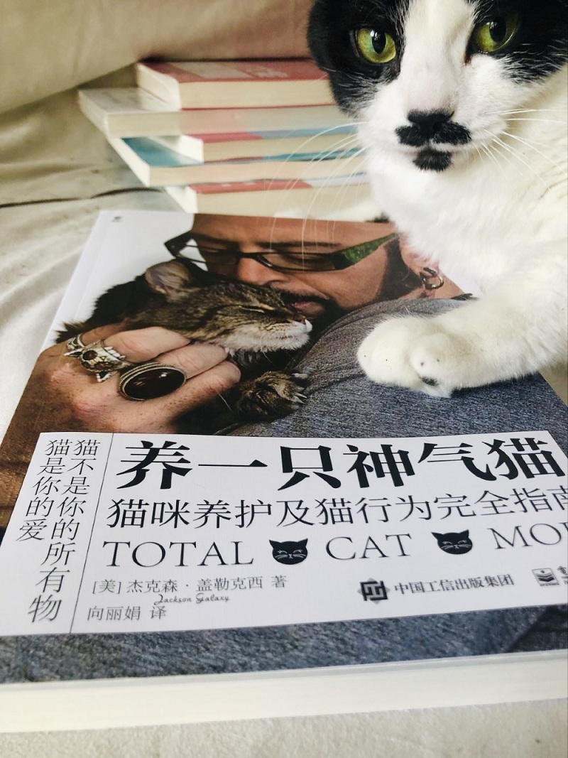 正版现货 养一只神气猫 猫咪养护及猫行为研究的完全指南 宠物喂养护理猫咪教学书籍 读懂猫咪心理基础知识 猫咪家庭医学大百科 - 图2