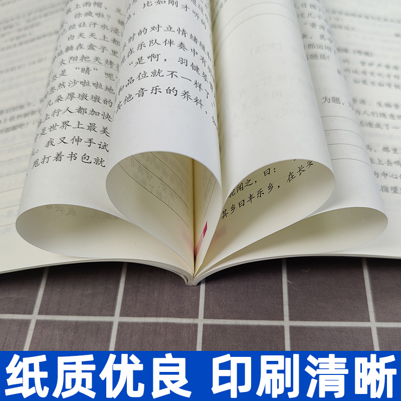 23版木马头阅读小卷小学语文六年级上册A版小学6年级上册人教版活页检测试卷随堂练习分级阅读训练阅读理解专项训练书阅读力测评-图3