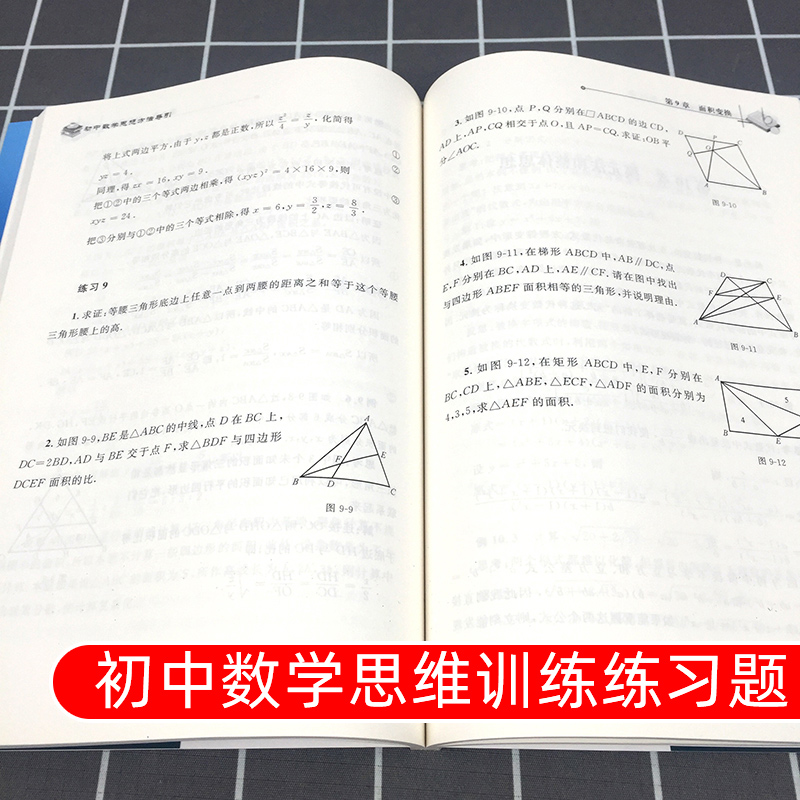 2024初中数学思想方法导引初中七八九年级数学刷题 解题技巧辅导书初一二三全一册中考复习资料书孙厚康著浙江大学出版社 - 图2