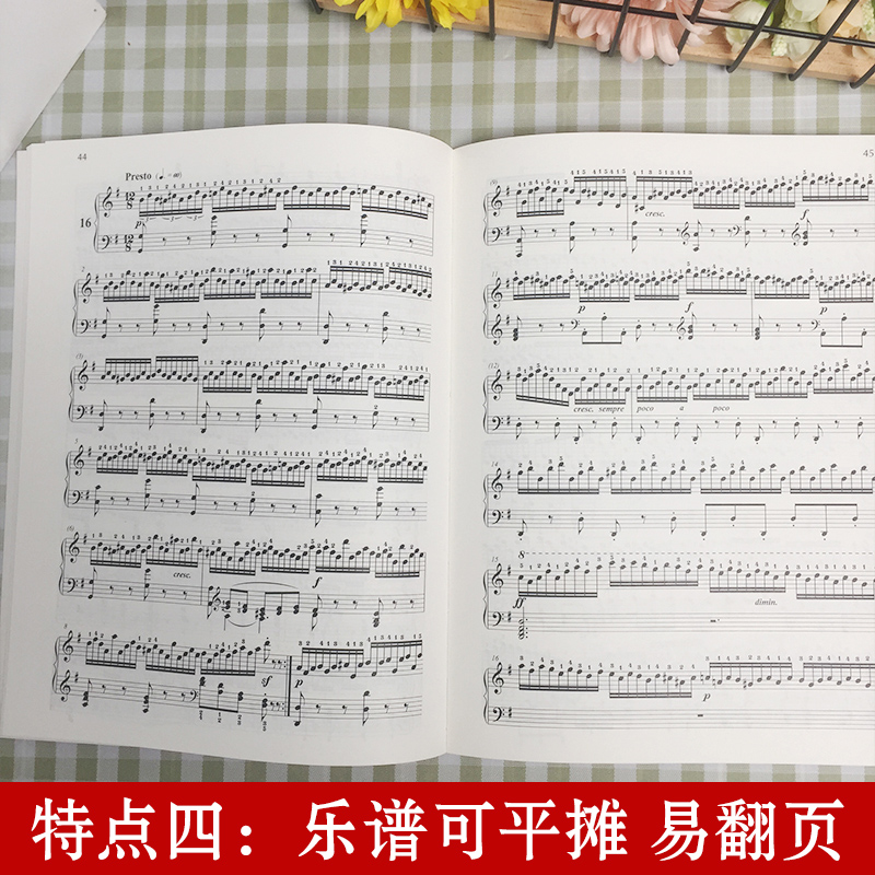 正版 大符头 车尔尼钢琴快速练习曲299韦丹文大字符版经典名曲曲谱教材初学入门曲集基础教程书籍手指技巧练习书中央音乐