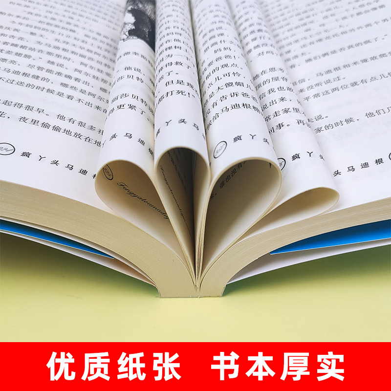 疯丫头马迪根 美绘版 国际安徒生奖获得者 林格伦儿童文学作品选集新版系列 6-8-10-12岁儿童文学故事书籍小学生课外阅读读物 - 图1