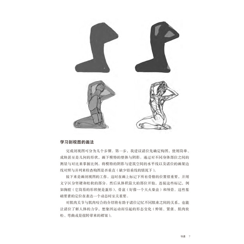 正版套装2册 理解人体形态+新版牛津艺用人体解剖学 绘画理论素描速写 人体形态素描速写集 人体构造透视构图讲解百科教程教材书籍