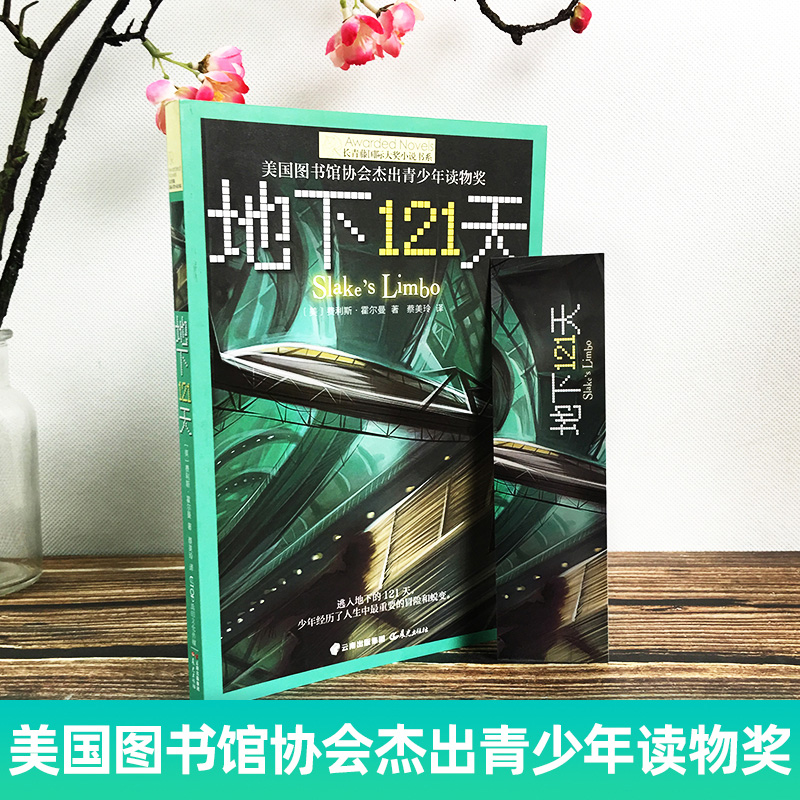 地下121天正版书 长青藤国际大奖小说系列 霍尔曼儿童文学故事书9-12-15岁四五六年级中小学生课外书籍青少年阅读物少儿励志图书籍 - 图0