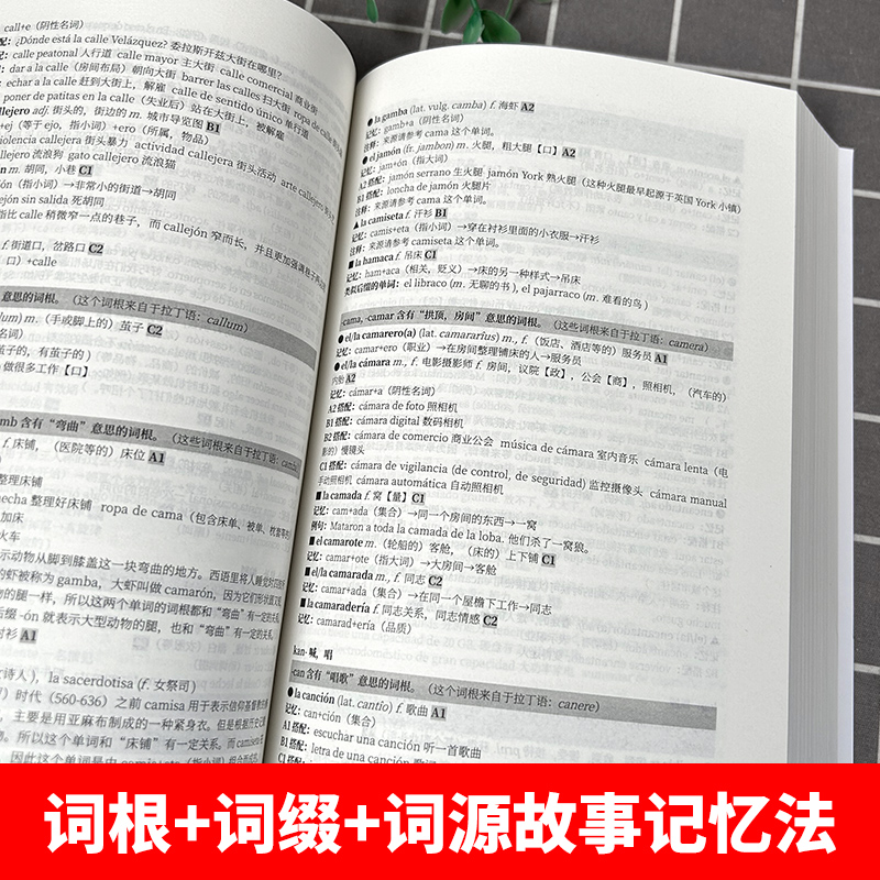 快速突破西班牙语DELE和SIELE高频词汇6000 高考dele核心词汇2000 西班牙语词汇 大学西班牙语听说读写a1a2  郭汇唯 东华大学 - 图2