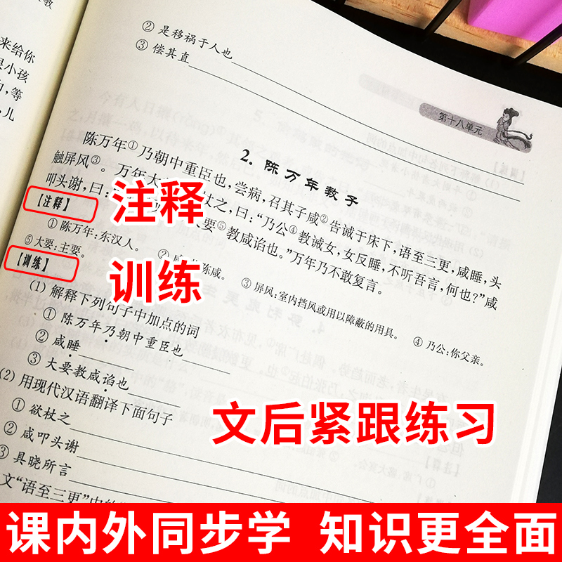 2025走进文言文67六七年级 初中文言文解读人教版课外阅读与训练精选译注及赏析 上海远东出版社小升初一本通教材解读文言文背书籍