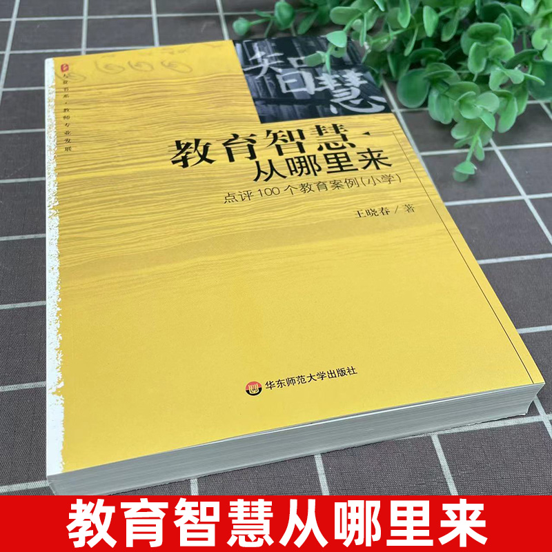 官方正版 教育智慧从哪里来(点评100个教育案例小学)大夏书系 王晓春 著 教师指导用书 小学教师专业发展读物 华东师范大学出版社 - 图0