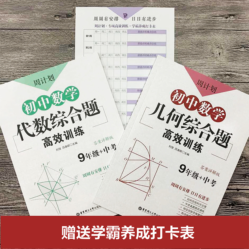 初中中考数学几何+代数综合题训练全套2册周计划九年级9年级数学强化训练练习题初三反比例二次函数三角形正方形中考刷题-图0