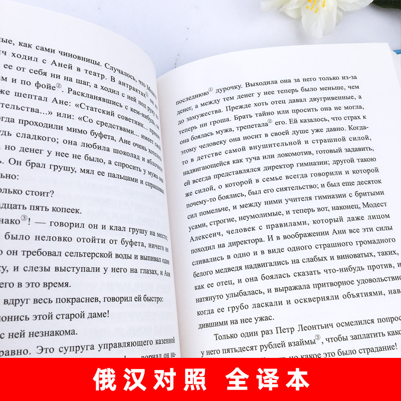 契诃夫中短篇小说选 俄汉对照全译本 沈念驹 注译 俄语小说 中俄双语读物 俄汉汉俄对照书籍 世界名著原版小说双语珍藏版 - 图2