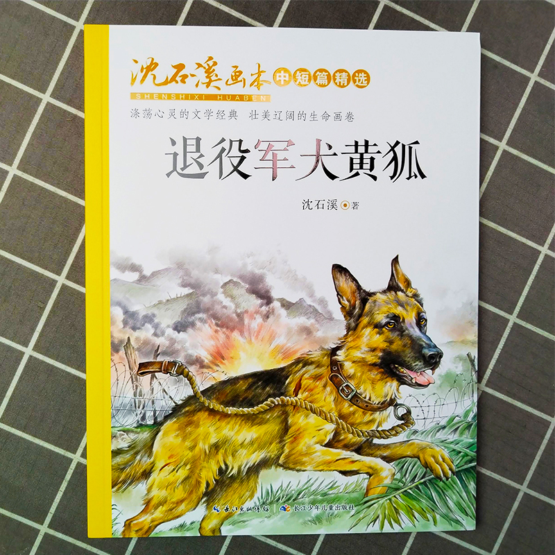 退役军犬黄狐 三四五六年级中小学生课外阅读读书籍沈石溪画本动物小说6-9-12周岁初中生青少年成长励志系列书儿童经典文学读物 - 图3