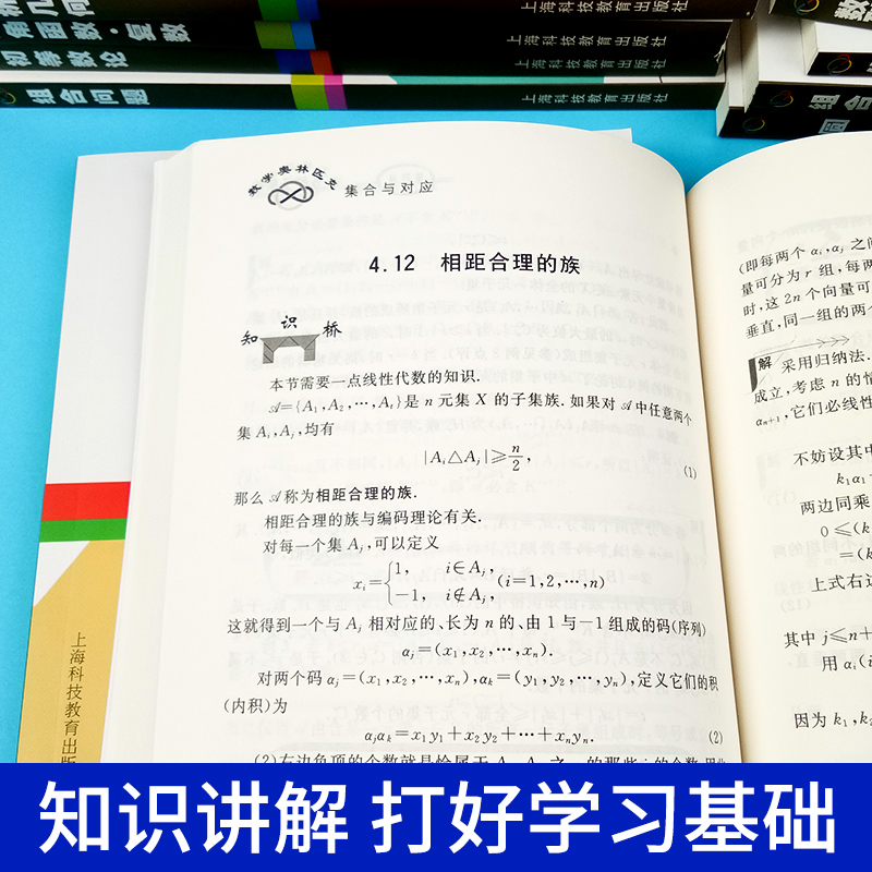 全套12册 数学奥林匹克命题人讲座 初等数论+集合与对应+组合几何+图论+圆 高中数学竞赛专题专项训练知识大全解题技巧题库辅导书 - 图1