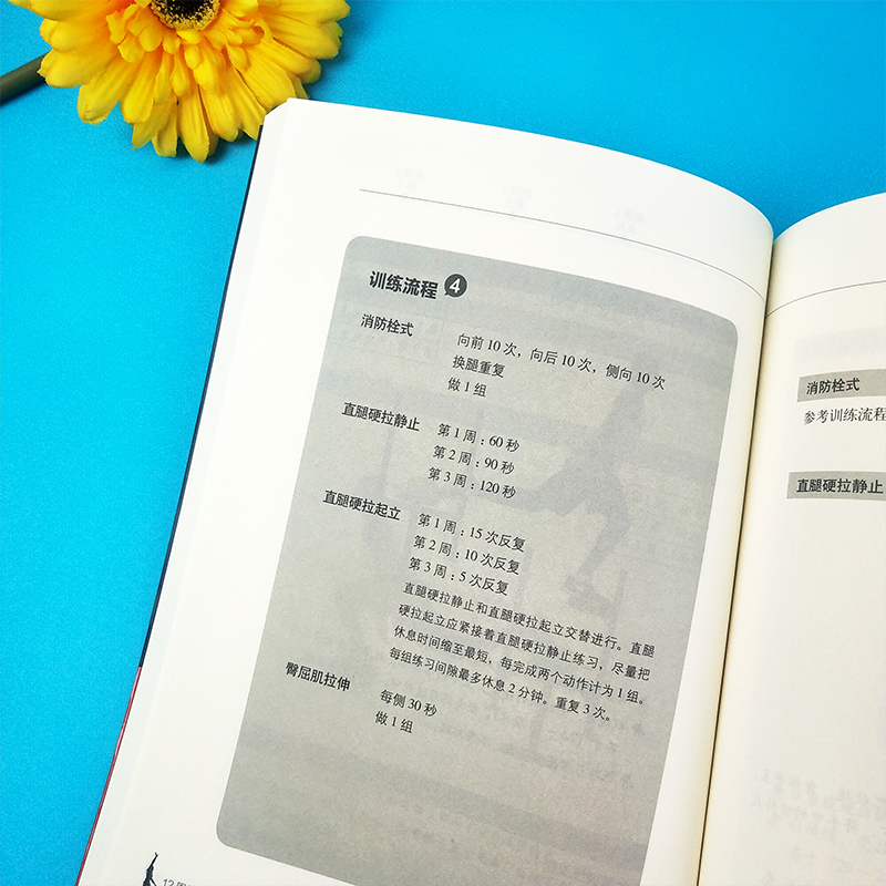 正版现货 12周像乔丹一样飞 十二周NBA体能训练乔丹和科比御用训练师闭门训练计划篮球提升计划 迅速打造NBA运动员体格 篮球训练书 - 图1
