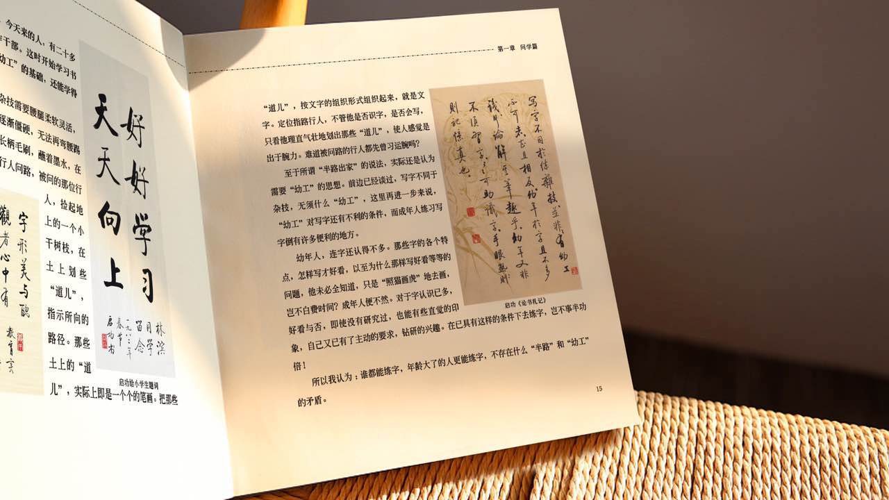 正版现货 启功 我学书法的经过启功自传启功书法作品真迹书法字画硬笔毛笔技法论书法理论书籍教材教程全集手稿 启功教你写字 - 图1