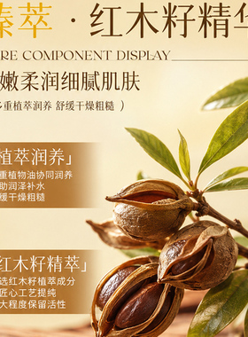面部护理精华油紧致抗皱去黄淡纹