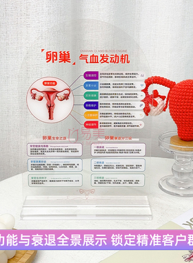 女性私密健康科普摆件卵巢保养乳晕色素管理可视化亚克力咨询展示