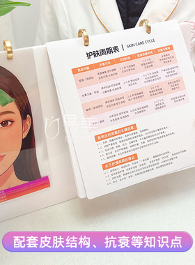 面部解剖层摆件面诊结构演示摆件美容院提升成交率神器面雕分层款