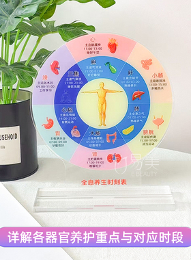 人体器官作息时间表ins风桌摆全息养生时刻表亚克力养生作息自律