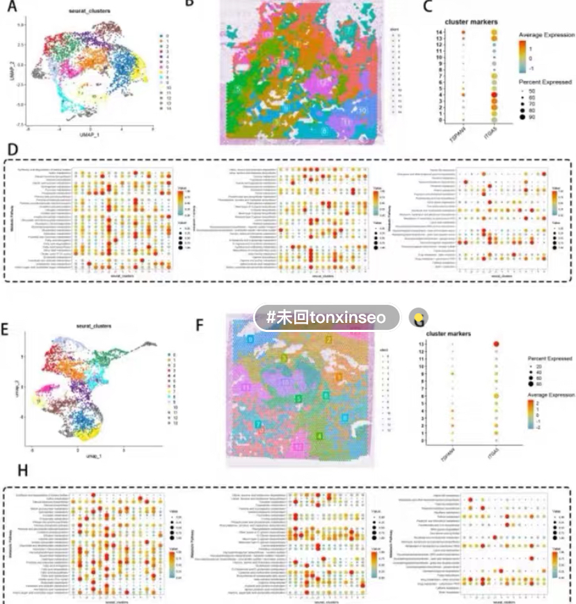 个人】spss留学生r语言统计数据问卷分析贝叶斯SAS回归画图IPA - 图1