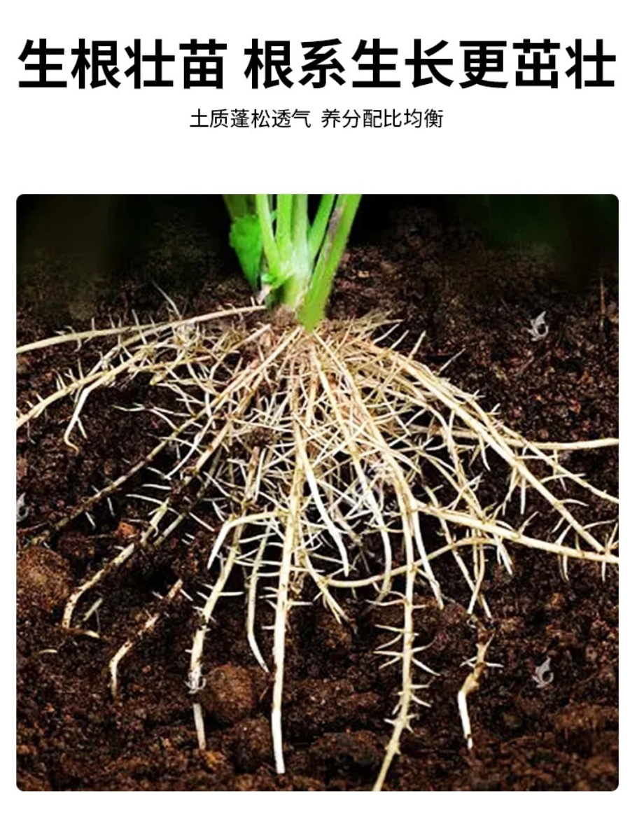 德国进口K牌413泥炭土422多肉植物营养土876含肥播种育苗土包邮-图0