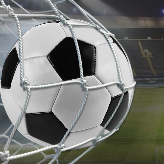 mysports足球5号成人训练比赛标准五号球4号小学生男孩足球耐磨