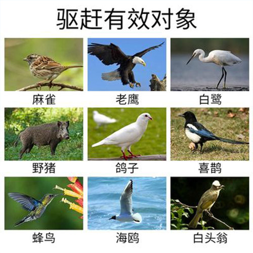 驱鸟神器太阳能智能驱鸟器超声波语音户外鱼塘果园大棚防吓鸟专用 - 图1