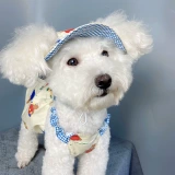 Джинсовая летняя дышащая шапка, универсальная солнцезащитная шляпа, защита от солнца