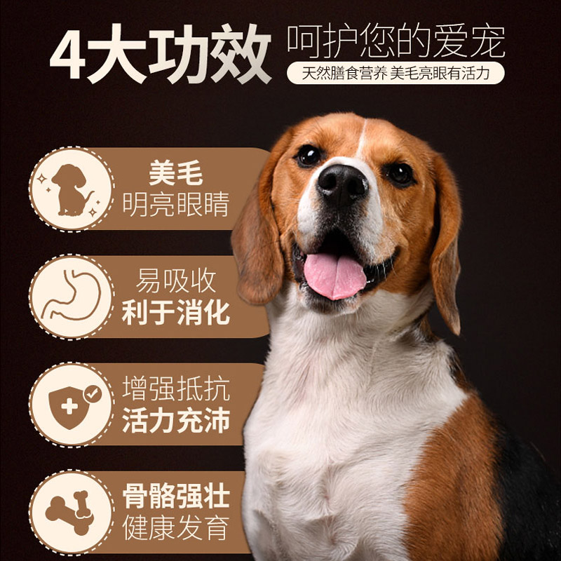 靓贝亮毛型成犬狗粮5Kg阿拉斯加泰迪狗金毛比熊美毛大袋狗粮10斤 - 图1