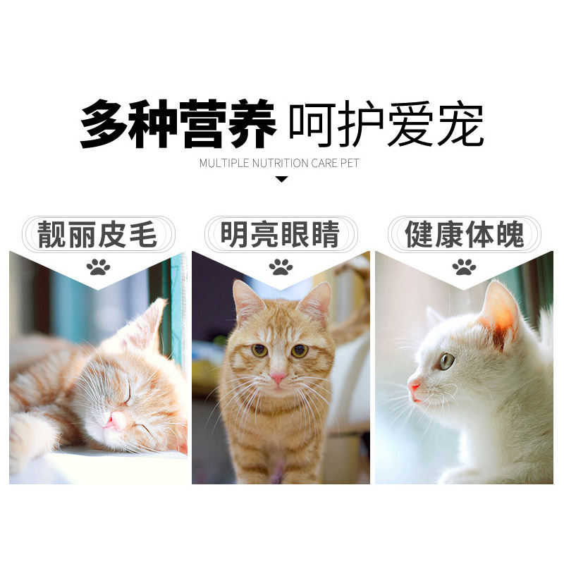 靓贝猫粮牛肉三文鱼大袋10kg成猫小幼猫蓝猫通用型鱼肉味猫粮20斤-图1