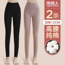 Duvet Warm Autumn Pants Lady Thin pure cotton High waist beating bottom lining pants winter big code line pants full cotton wool pants to wear
