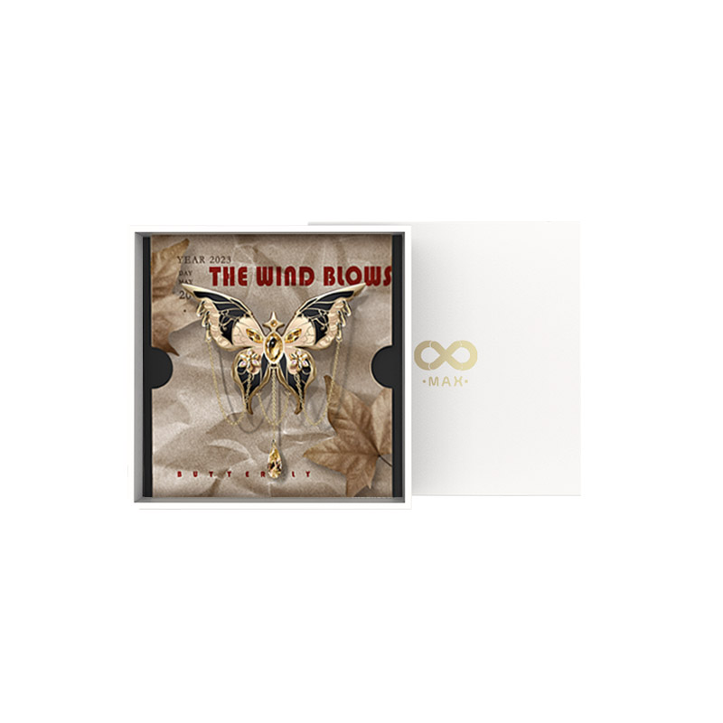 Max无界蝴蝶枯叶蝶胸针徽章高级感衬衫情侣配饰防走光生日礼物女 - 图3