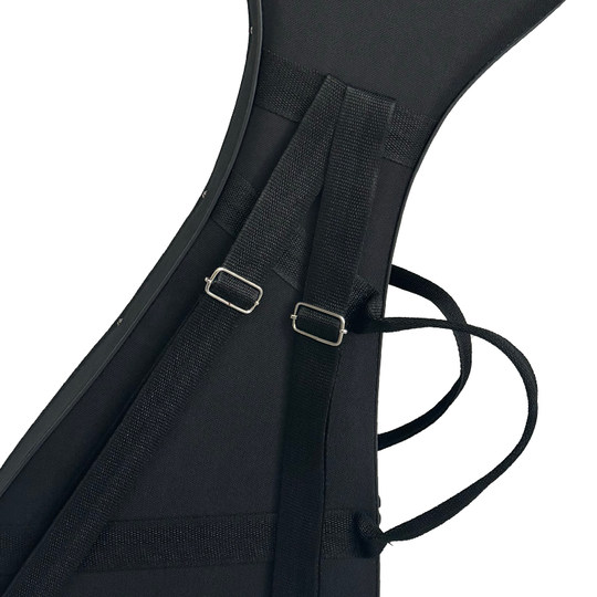 乐海成人款琵琶专用琴盒防震轻体盒手提可背琵琶保护盒