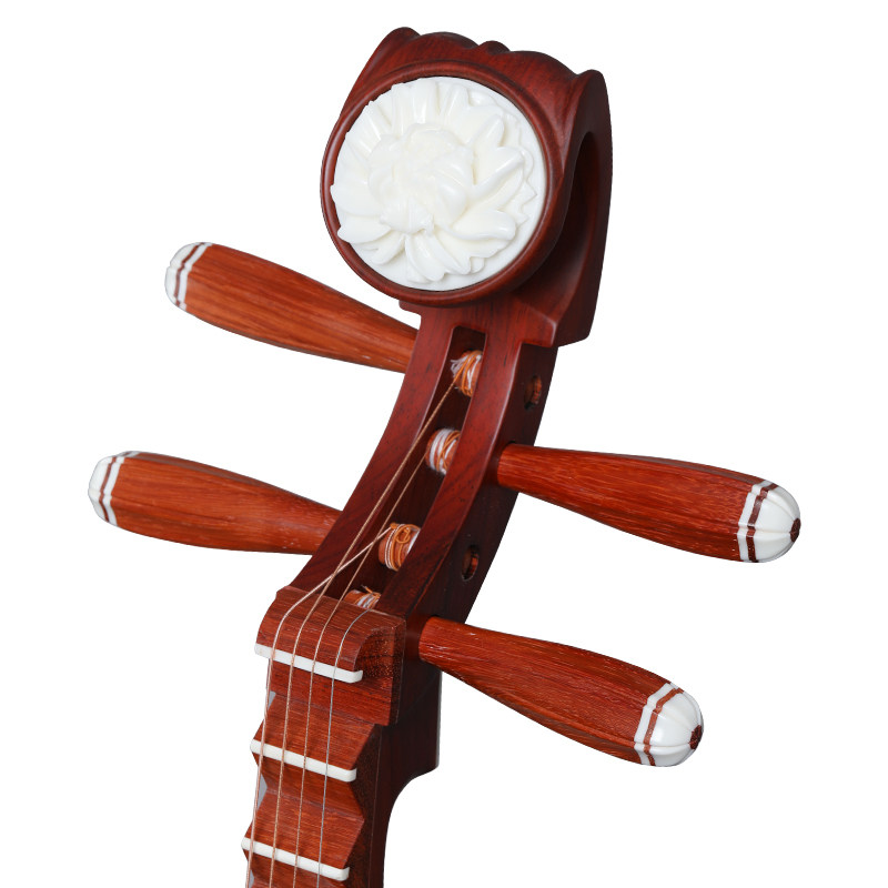 乐海儿童初学者考级非洲紫檀木琵琶 乐海乐器琵琶