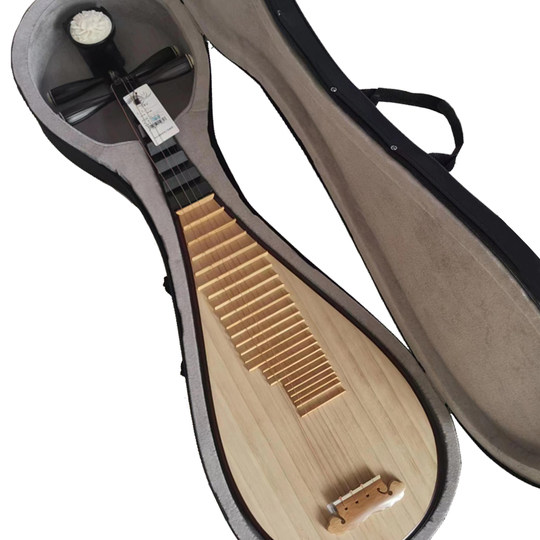 乐海成人款琵琶专用琴盒防震轻体盒手提可背琵琶保护盒