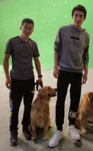 上海宠物狗狗学校  大小便训练 训犬师上门 寄养服务 - 图0