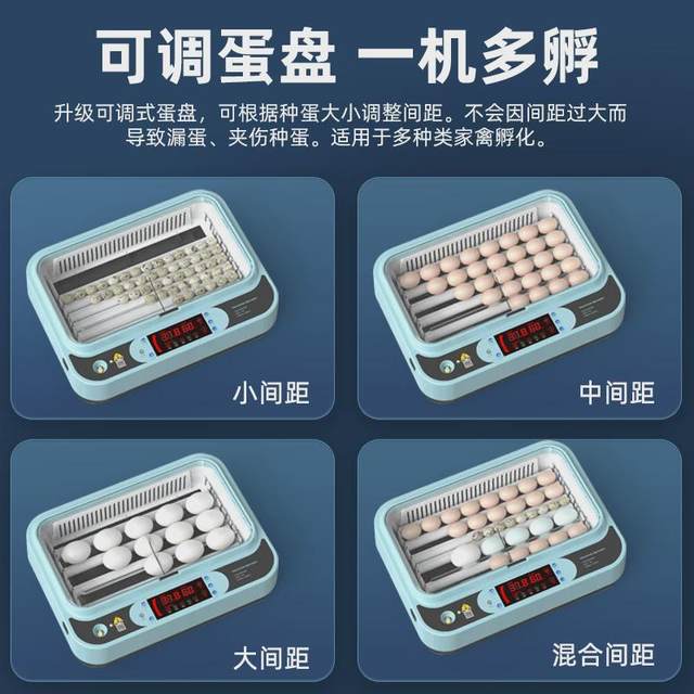 German incubator small household fully automatic intelligent egg incubator parrot bird egg chick rudin chicken incubator box